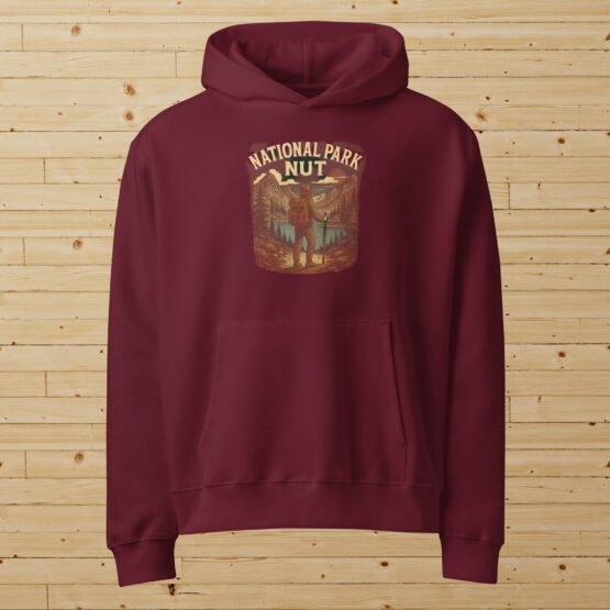 National Park Nut Oversized Heavyweight Hoodie - Image 2
